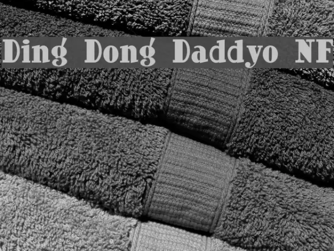 Ding Dong Daddyo NF Font examples