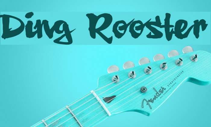 Ding Rooster Font examples
