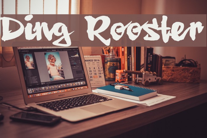 Ding Rooster Font examples