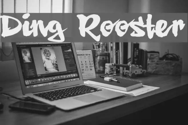 Ding Rooster Example 2