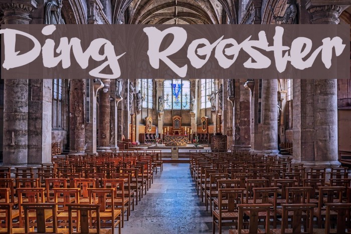 Ding Rooster Font examples