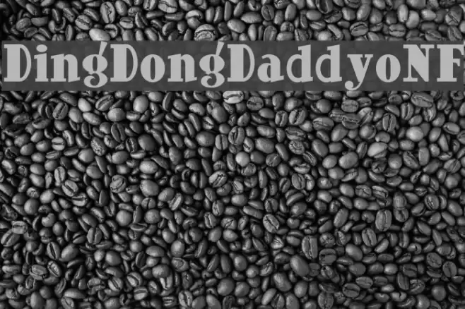 DingDongDaddyoNF Font examples