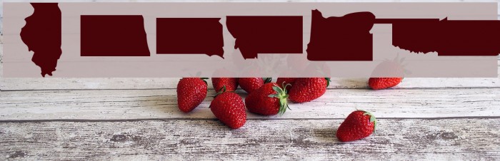 DingMaps Font examples
