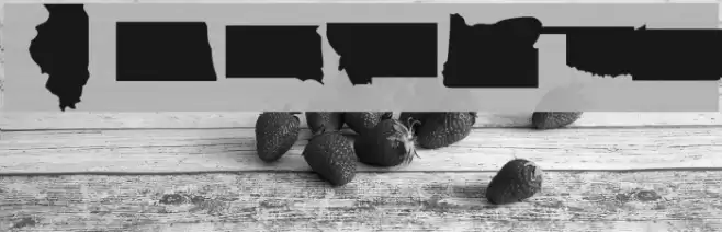 DingMaps Font examples