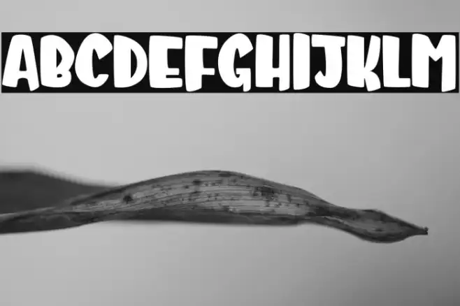 Dingdong Example 3