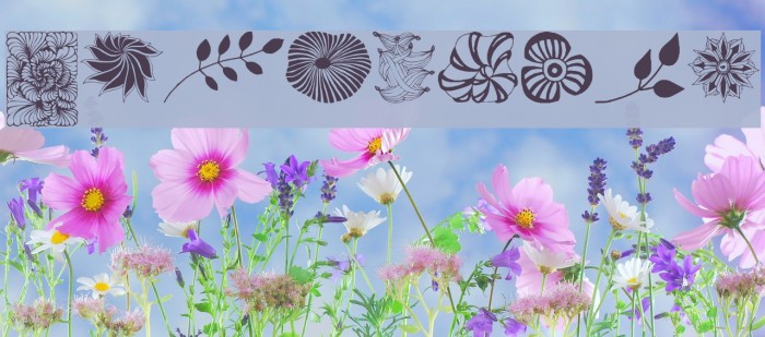 Dingfleur Font examples