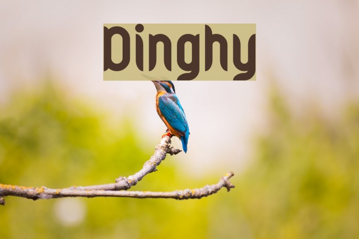 Dinghy Шрифта examples