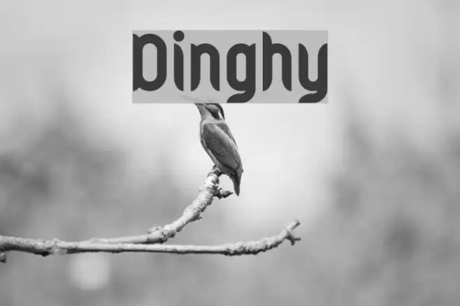 Dinghy Font examples