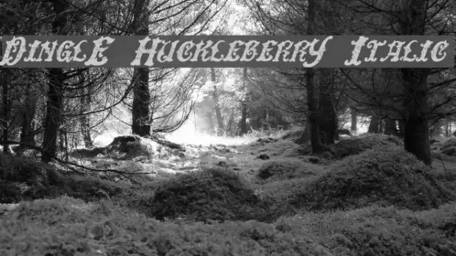 DinglE HuckleberrY Italic Font examples