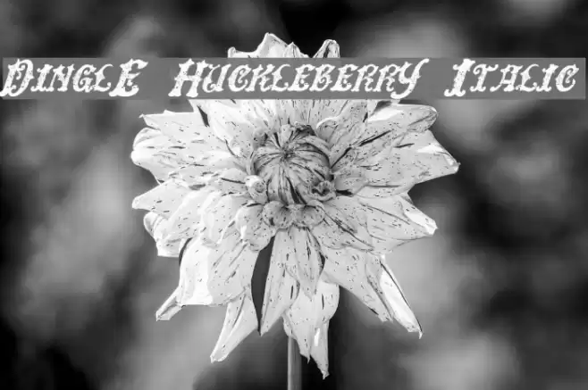 DinglE HuckleberrY Italic Font examples