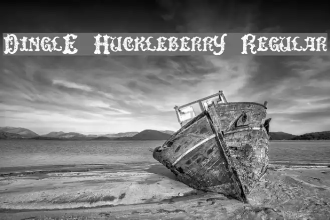 DinglE HuckleberrY Regular Example 2