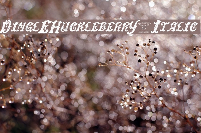 DinglEHuckleberrY-Italic Font examples