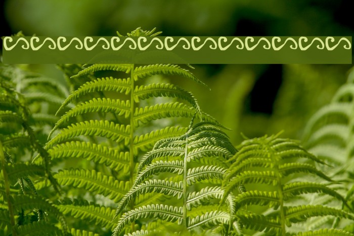 Dingle Berries Font examples