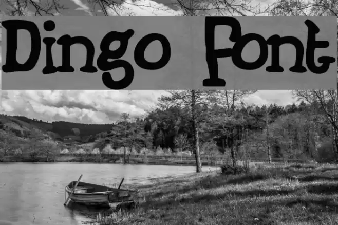 Dingo Font examples