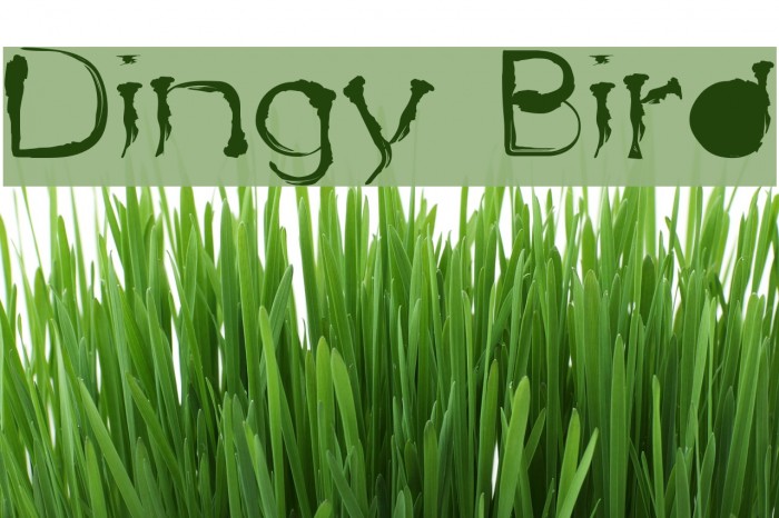 Dingy Bird Font examples