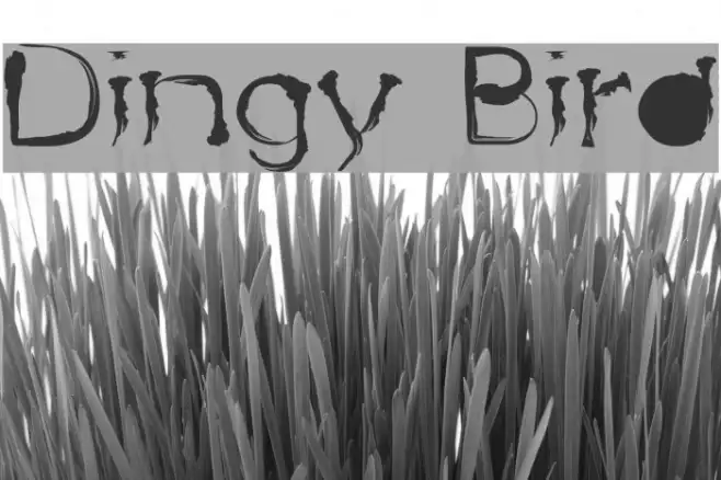 Dingy Bird Example 1