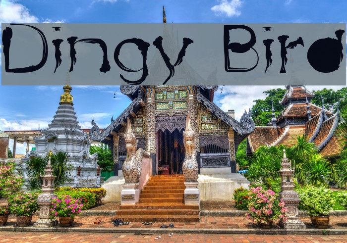 Dingy Bird Font examples