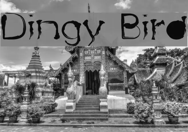 Dingy Bird Example 3