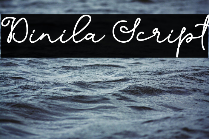 Dinila Script لخطوط تنزيل examples