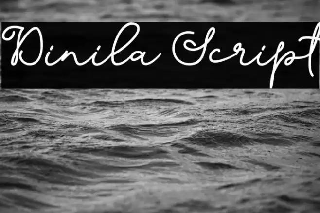 Dinila Script خط examples