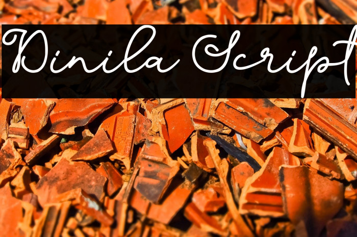 Dinila Script لخطوط تنزيل examples