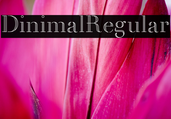 Dinimal  Regular Example 2