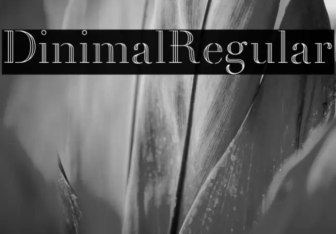 Dinimal  Regular Font examples