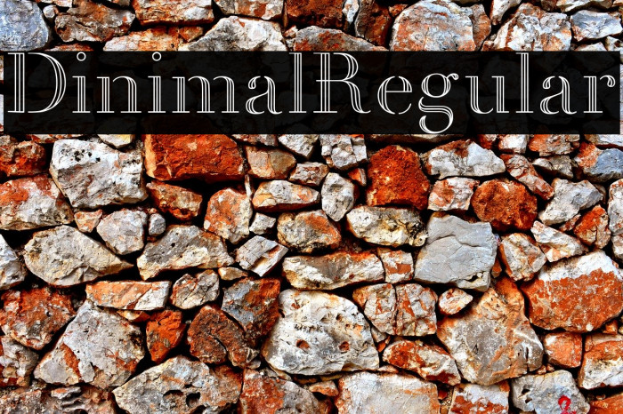 Dinimal  Regular Example 3