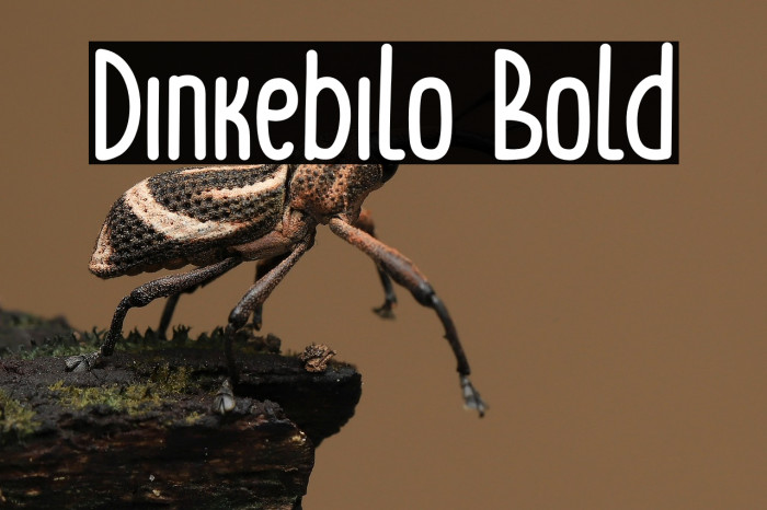 Dinkebilo Bold Example 2