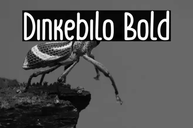 Dinkebilo Bold Font examples