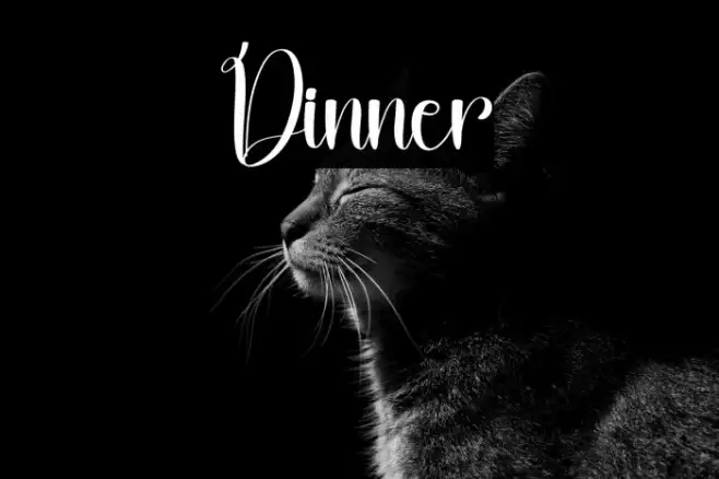 Dinner Example 1