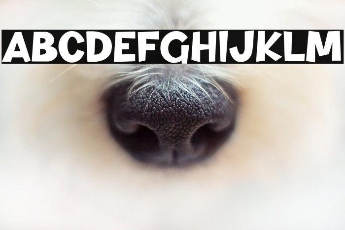 Dino And Friend Example 2