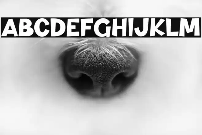 Dino And Friend Font examples