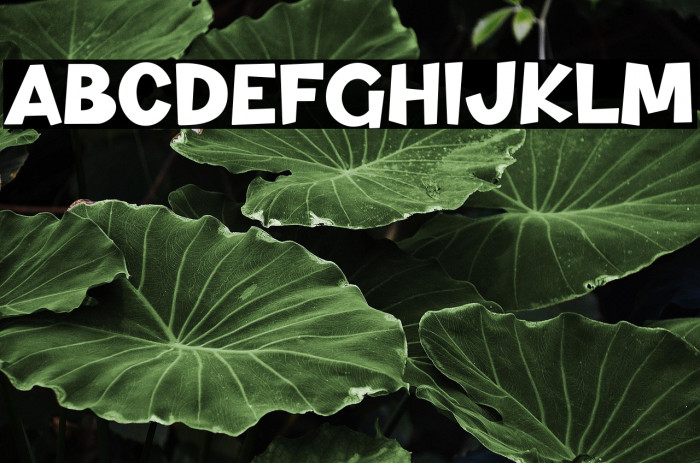 Dino And Friend Example 1