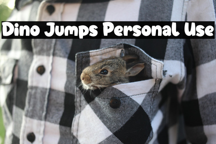 Dino Jumps Personal Use Example 1