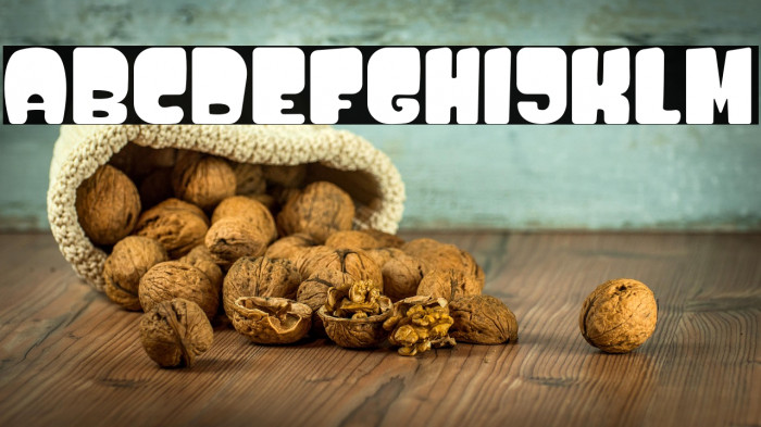 Dino World PERSONAL USE ONLY! Example 1