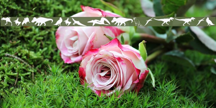 DinoSilhouettes Example 1