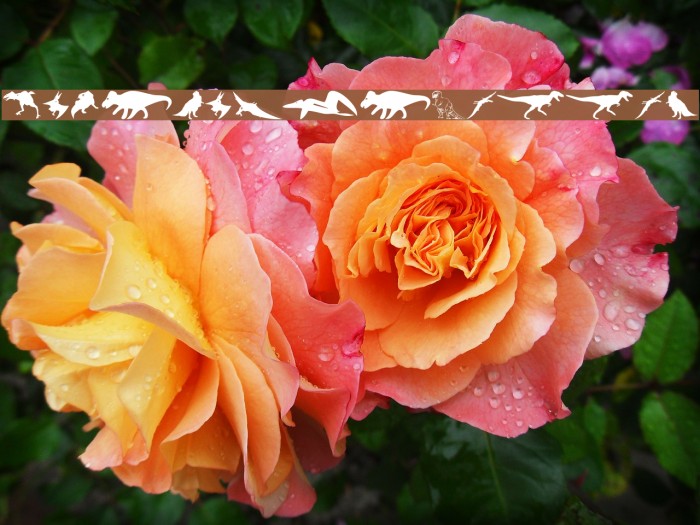 DinoSilhouettes Example 2