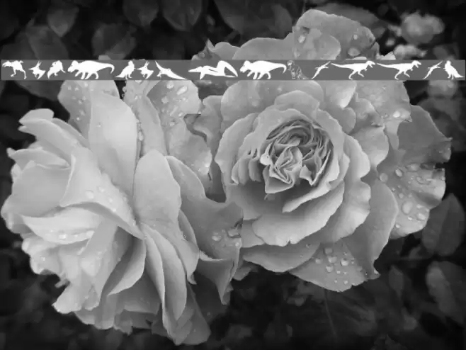 DinoSilhouettes Font examples