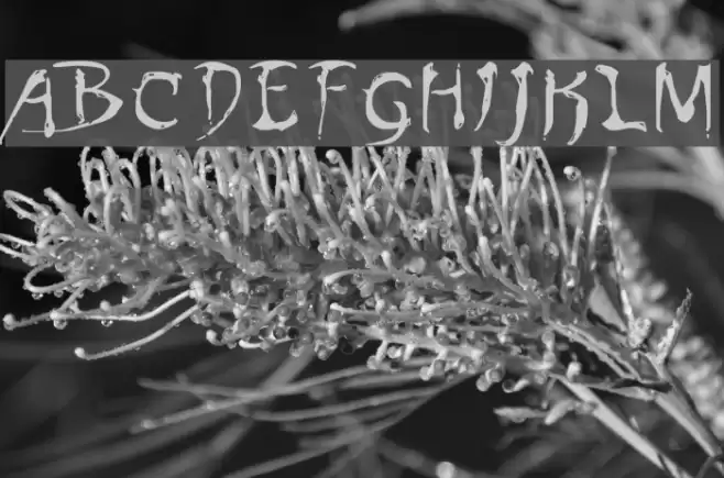 Dinobots Normal Font examples