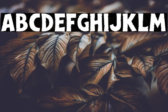 Dinoclaw PERSONAL USE ONLY! Example 1