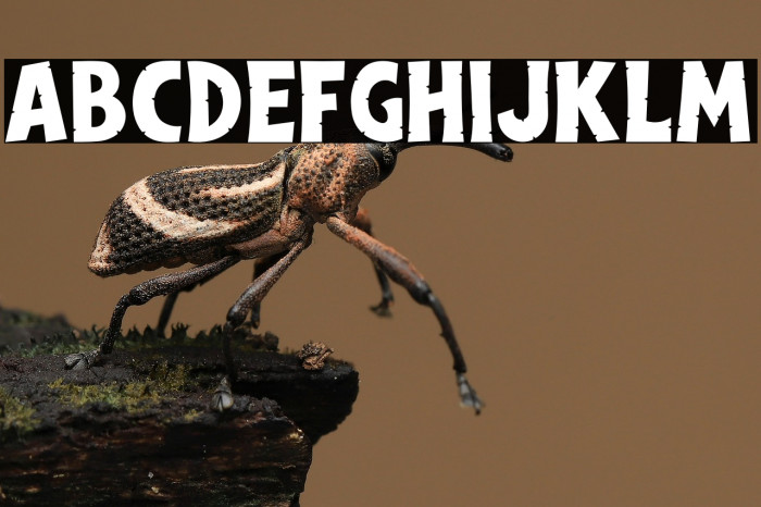 Dinoclaw PERSONAL USE ONLY! Example 3