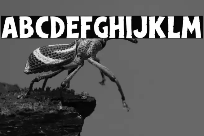 Dinoclaw PERSONAL USE ONLY! Caratteri examples