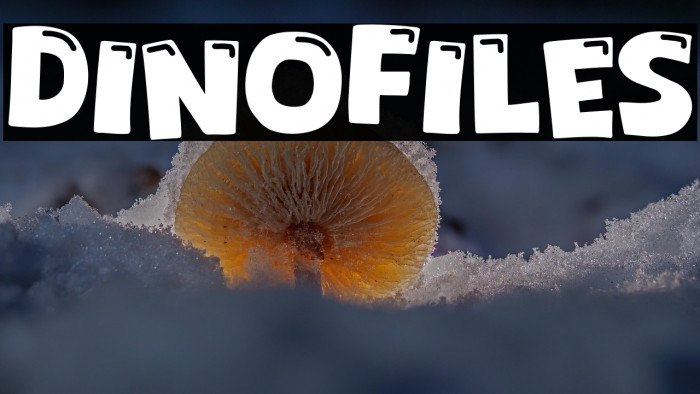 Dinofiles Font examples