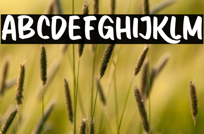 Dinokids PERSONAL USE ONLY! Example 2