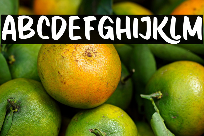 Dinokids PERSONAL USE ONLY! Example 3