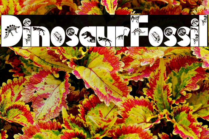 Dinosaur Fossil Example 3