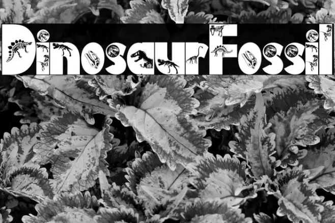 Dinosaur Fossil Example 3