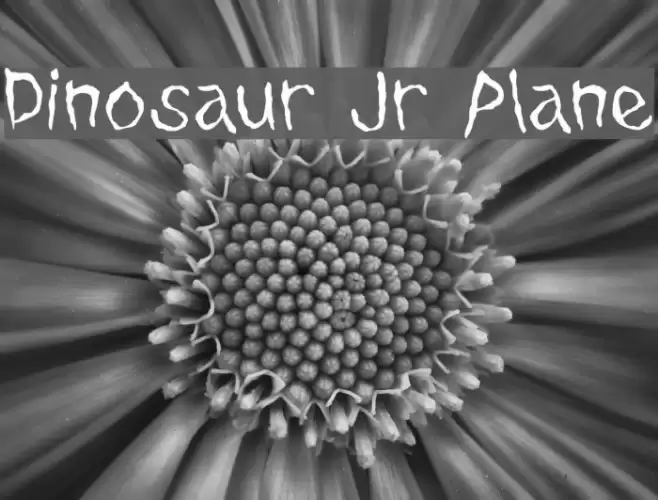 Dinosaur Jr Plane Font examples