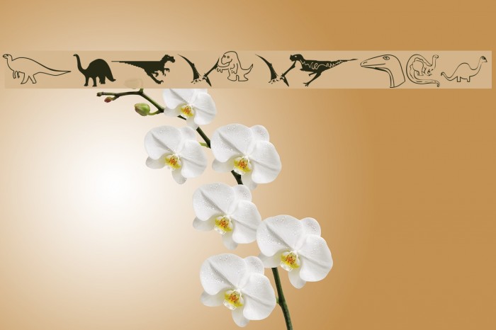 DinosoType Example 2